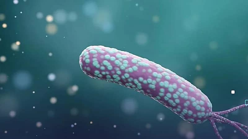 جرثومة المعدة قد تسبب 12 مليون حالة إصابة بسرطان المعدة في المستقبل