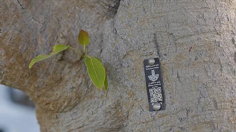 الخبر تطلق مشروع رقمنة 100 ألف شجرة إلكترونيًا