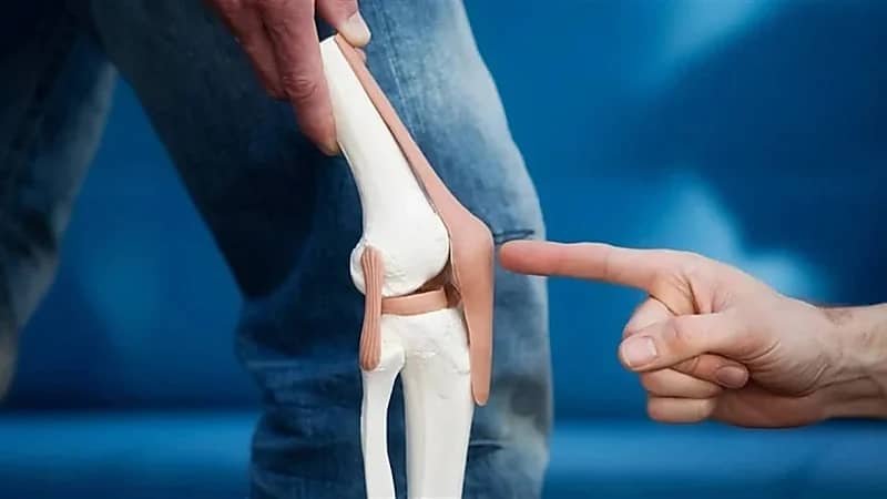 WhatsApp Image 2025-09-08 at 12.24.47 PM.jpeg