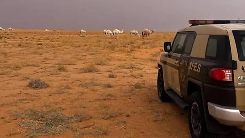 الإطاحة بمواطن لارتكابه مخالفة رعي في محمية الإمام عبدالعزيز الملكية