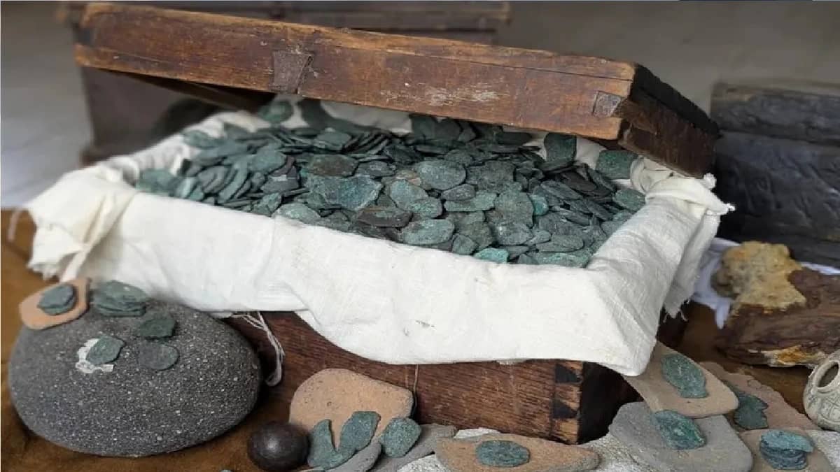 WhatsApp Image 2025-10-05 at 7.15.01 PM.jpeg