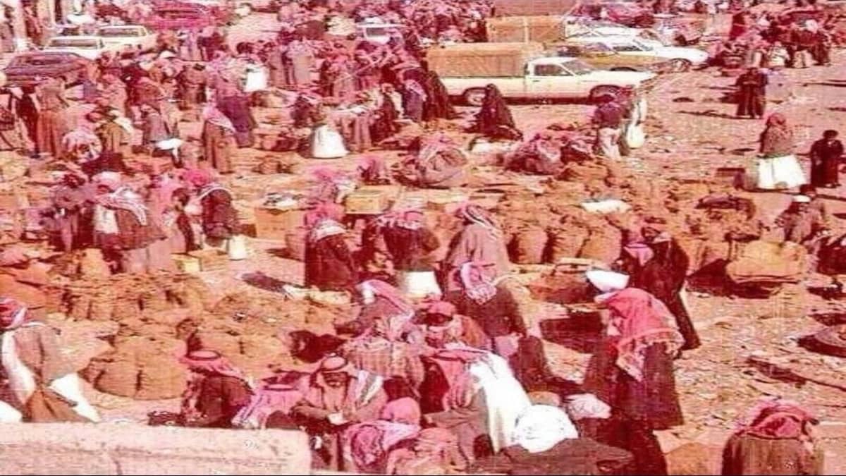 WhatsApp Image 2025-10-10 at 2.35.01 PM (1).jpeg