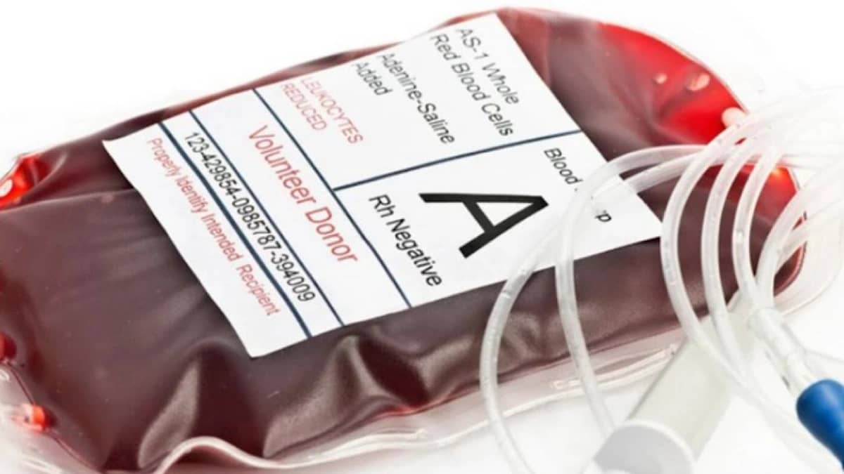 WhatsApp Image 2025-10-17 at 10.50.38 AM (1).jpeg