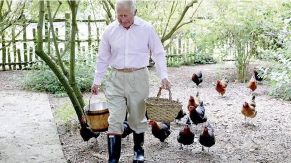 WhatsApp Image 2025-11-13 at 7.39.55 PM.jpeg