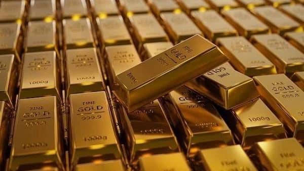 WhatsApp Image 2025-11-18 at 4.49.16 PM (1).jpeg