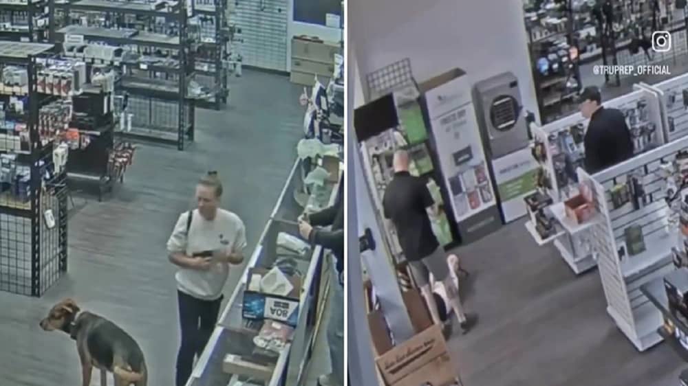 WhatsApp Image 2025-11-25 at 4.57.09 PM.jpeg