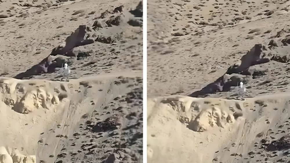 WhatsApp Image 2025-12-02 at 10.48.15 PM.jpeg