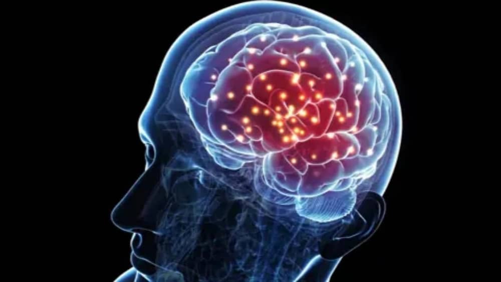 WhatsApp Image 2025-12-03 at 10.08.25 PM.jpeg