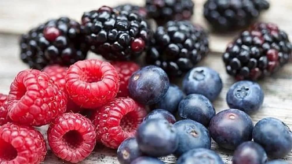 جابر القحطاني: التوت البري يحتوي مركبات مضادة للبكتيريا والسرطان