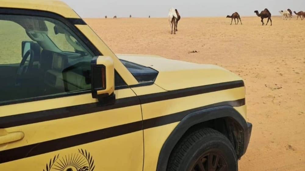 WhatsApp Image 2025-12-27 at 1.21.26 PM.jpeg