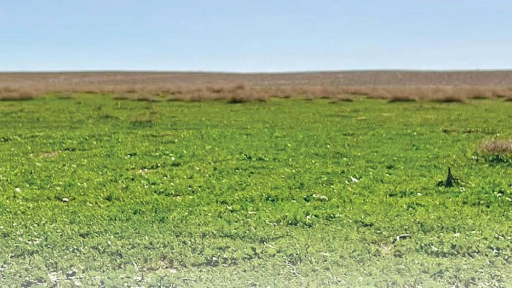 WhatsApp Image 2025-12-28 at 5.00.53 PM.jpeg