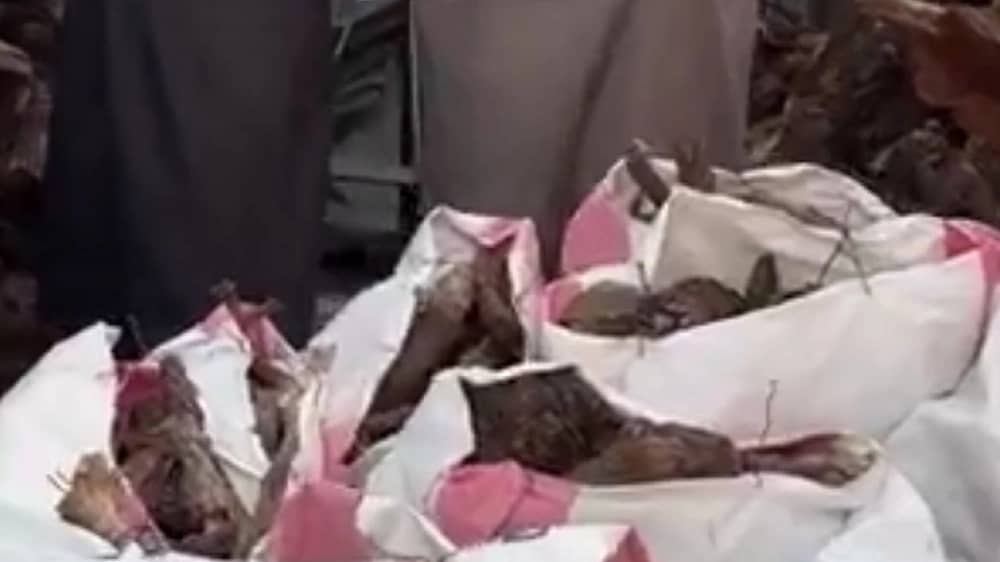 WhatsApp Image 2025-12-29 at 8.41.47 PM.jpeg