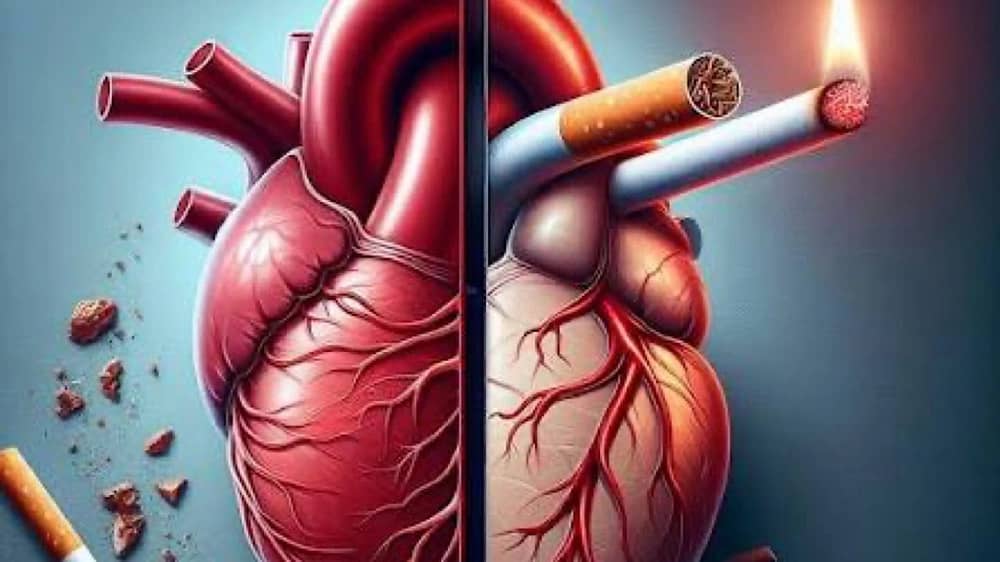 النمر : التدخين يزيد خطر الجلطة القلبية حتى مع سلامة الشرايين