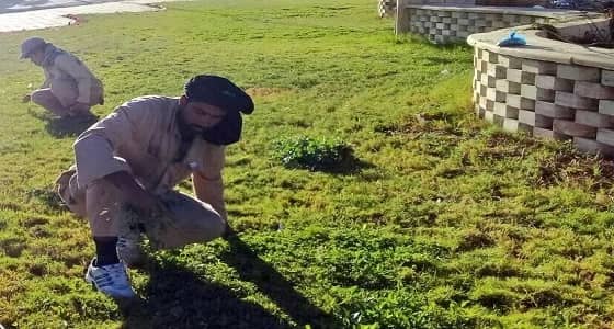 بالصور.. أعمال وكالة الخدمات في إدارة الحدائق والمكافحة المنزلية بنجران