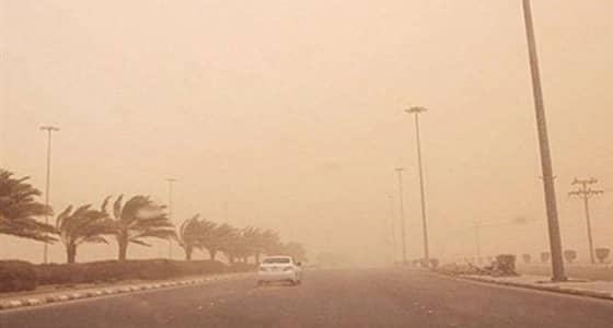 استمرار العوالق الترابية في بيشة