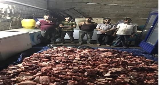 بالصور.. ضبط مسلخ مخالف للإبل بخميس مشيط يديره عمالة آسيوية