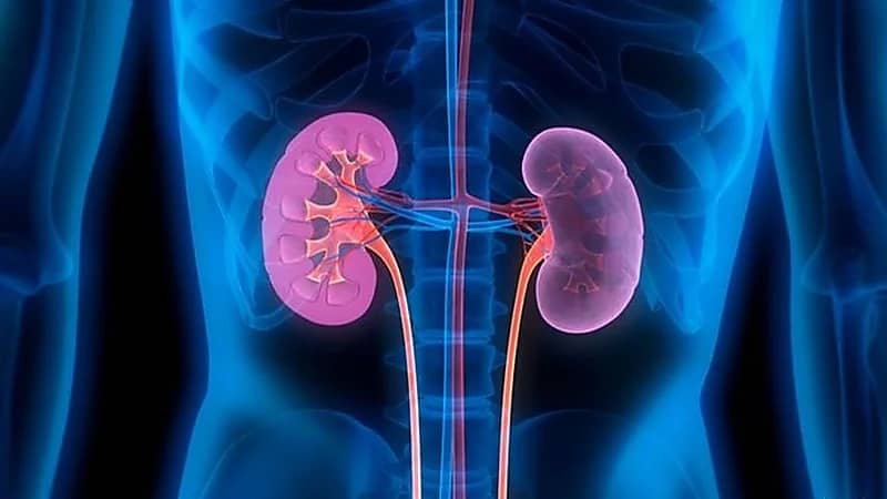 عادات يومية خطيرة على الكليتين
