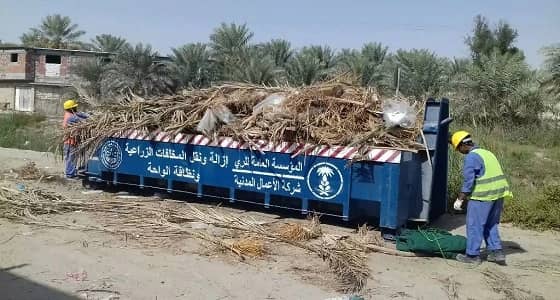بالصور..666 ألف م3 من المخلفات الزراعية بالأحساء