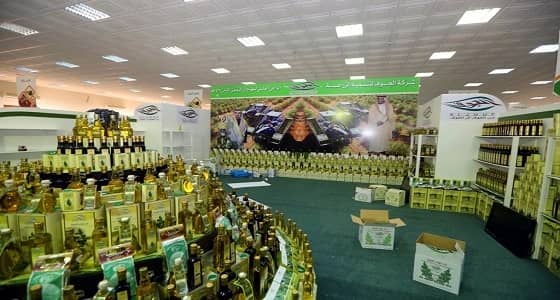 تفاصيل النسخة الـ11 لمهرجان الزيتون بالجوف