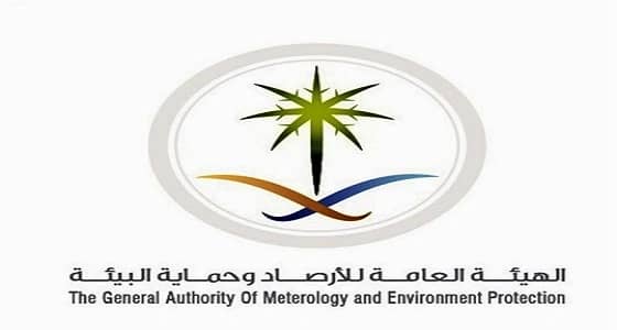 إيقاف 11 مكتباً استشارياً مخالفاً خلال العام الحالي