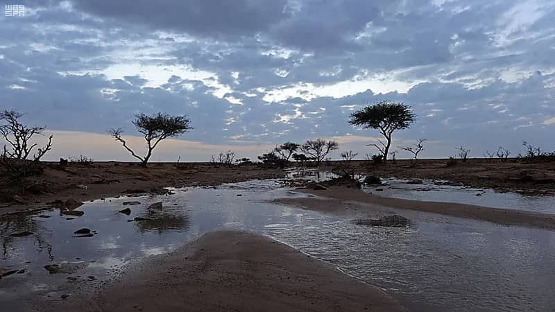 الأرصاد: 5 أيام وينتهي الشتاء وسنشهد موجة باردة في مارس.. فيديو