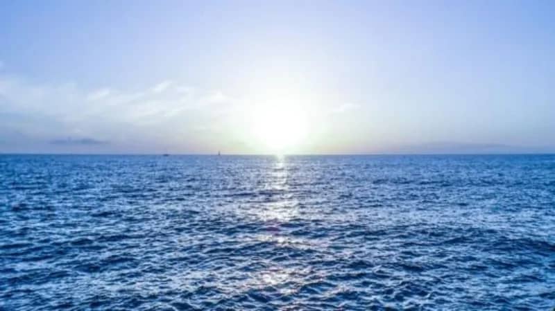 لماذا لا يمكن شرب مياه البحر ؟