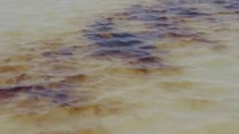 رصد بقع زيتية في إحدى المناطق البحرية التابعة للهيئة الملكية بينبع