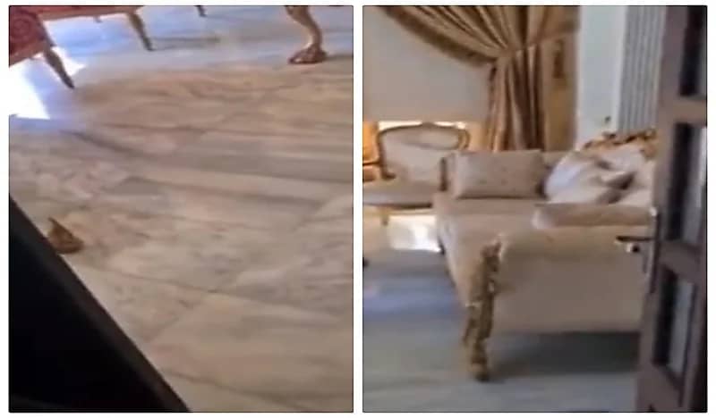 شاهد.. قناصون من حزب الله يلاحقون المواطنين الأبرياء في بيوتهم 