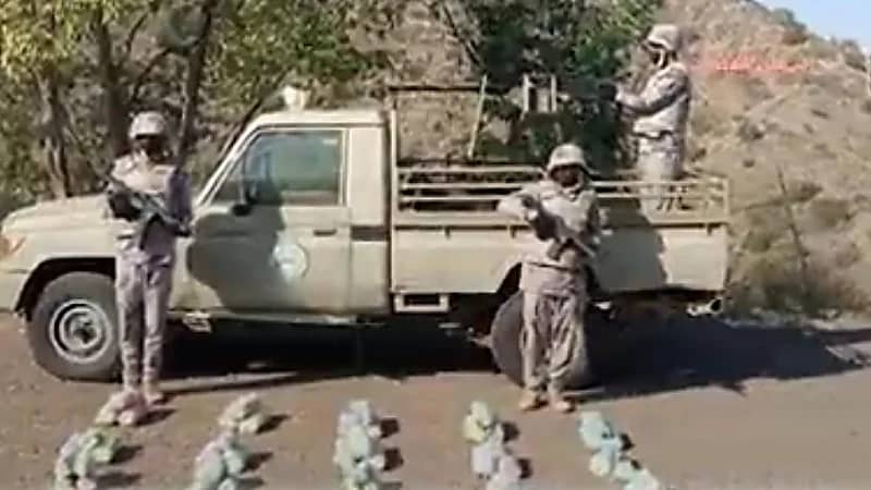 إحباط محاولات تهريب (35) طنًا و(176) كيلو جرامًا من نبات القات المخدر و (483.3) من الحشيش