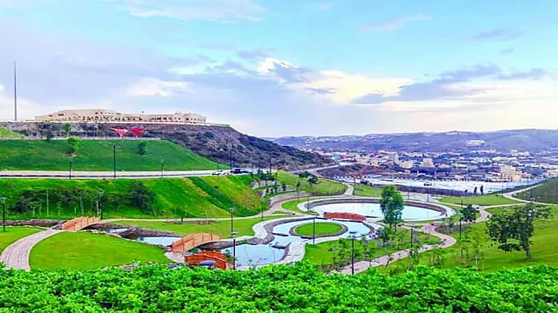 مواطن يعفو عن داهس ابنته في الباحة 