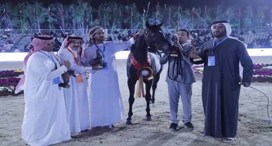 " سعود بن نايف  " يرعى ختام مهرجان الشرقية للخيول العربية