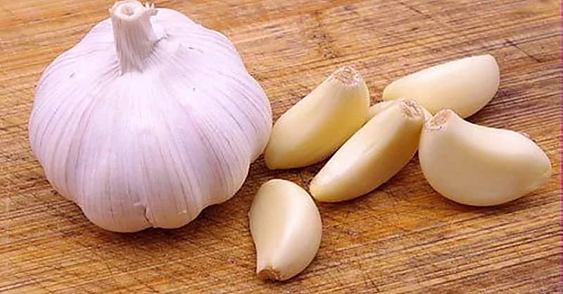 أضرار غير متوقعة للإفراط في تناول الثوم