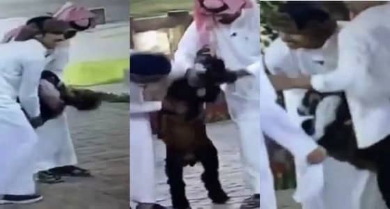 " تيس " يرقص الدحة.. قناة بداية تسيء لقبيلة عنزة وتكشف موقفها