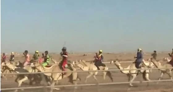 بالصور والفيديو.. خادم الحرمين يشهد انطلاق سباق الهجن