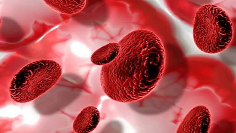 دراسة جديدة: موقد الغاز يسبب السرطان