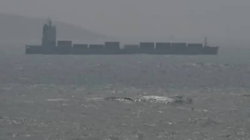 20 سفينة عسكرية صينية وتايوانية تتواجه في مضيق تايوان