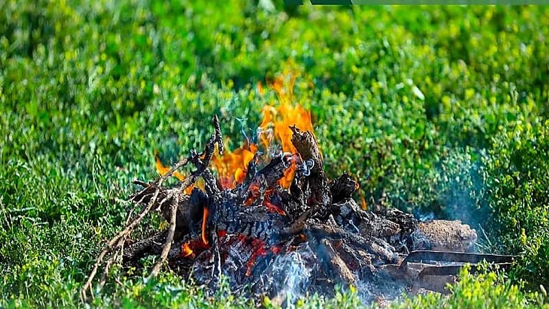ضبط مواطن لإشعاله النار في أراضي الغطاء النباتي بمحمية طويق الطبيعية