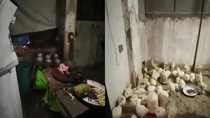 بالفيديو.. ضبط مسلخ عشوائي مخالف داخل شقة سكنية تديرها عمالة مخالفة بالعاصمة المقدسة