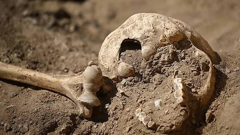 ‎العثور على بقايا بشرية داخل مسجد