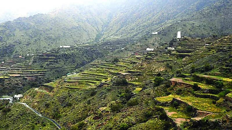 "المساحة الجيولوجية" توضح سبب انهيار جدران المدرجات الزراعية