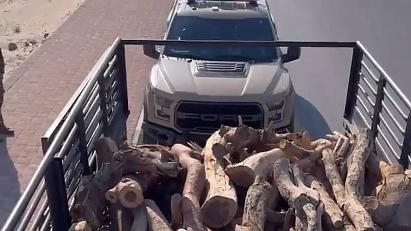 ضبط مخالفين لبيعهما أكثر من 16 مترًا مكعبًا من الحطب المحلي بالشرقية .. فيديو