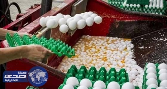 ⁠⁠⁠⁠⁠المفوضية الأوروبية تدعو إلى اجتماع وزاري بشأن أزمة البيض الملوث