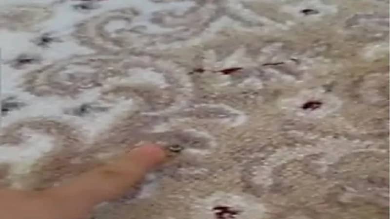 شاهد.. شاب يوثق رصاصة اخترقت منزله أثناء نومه في نهار العيد 