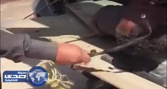 القبض على المعتدي على إثيوبي.. وشرطة الرياض توضح ملابسات الواقعة "  فيديو  "