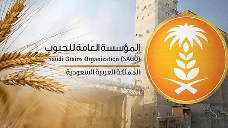 "العامة للحبوب" تبدأ بصرف مستحقات الدفعة السادسة لمزارعي القمح المحلي