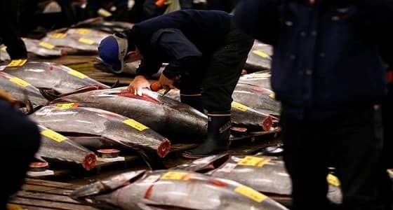 " الغذاء الدواء " تعلق استيراد منتجات الأحياء المائية المستزرعة من 4 دول