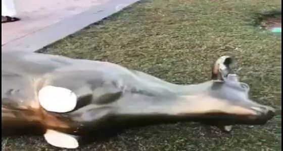 أمانة جدة تكشف حقيقة فيديو تحطم أحد مجسمات " الواجهة البحرية "