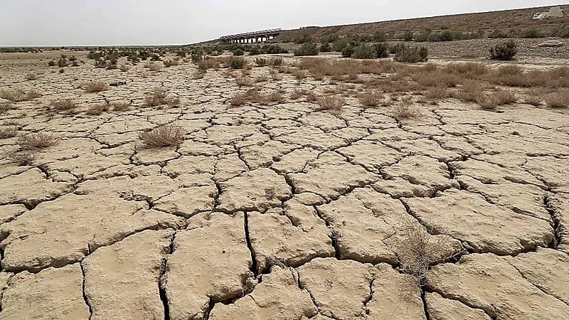 المسند: بقي على الحميمين 60 يومًا وإجازة الشتاء 35 يومًا