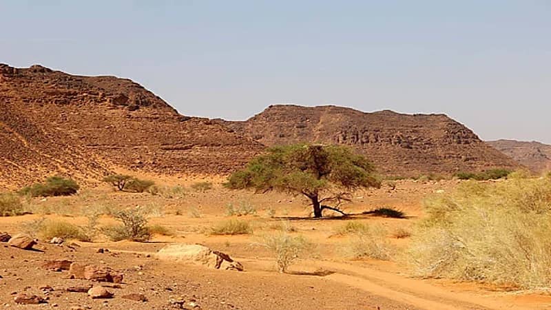 صور..رحالة إنجليزية: وادي السرحان بالجوف كان مجرى بحر قديم كالبحر الميت