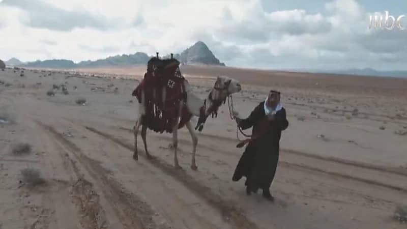 بالفيديو.. الشقيري يكشف عن سر احتماء العربي بالإبل ليلا في الشتاء القارس